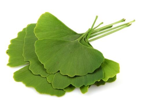 Variconi përmban gingko biloba